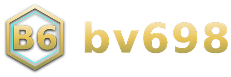 bv698 logo